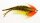 Bauer Pike Deceiver - Red Head