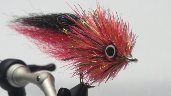 H2O Translucy Fly Brushes #5