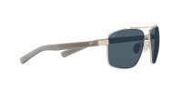 COSTA FLAGLER SHINY SILVER GRAY 580P