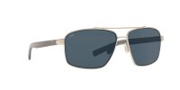 COSTA FLAGLER SHINY SILVER GRAY 580P