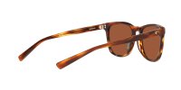 COSTA SULLIVAN MATTE TORTOISE GREEN MIRROR 580G