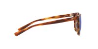 COSTA SULLIVAN MATTE TORTOISE GREEN MIRROR 580G
