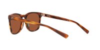 COSTA SULLIVAN MATTE TORTOISE GREEN MIRROR 580G