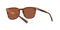COSTA SULLIVAN MATTE TORTOISE GREEN MIRROR 580G