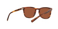 COSTA SULLIVAN MATTE TORTOISE GREEN MIRROR 580G