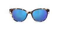 COSTA ISLA SHINY TIGER COWRIE BLUE MIRROR 580G