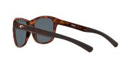 COSTA VELA  SHINY TORTOISE BLUE MIRROR 580P