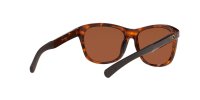 COSTA VELA SHINY TORTOISE GREEN MIRROR 580G