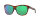 COSTA VELA SHINY TORTOISE GREEN MIRROR 580G
