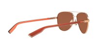 COSTA PELI SHINY ROSE GOLD COPPER SILVER MIRROR 580P