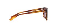 COSTA SULLIVAN ROSE GRADIENT 580G