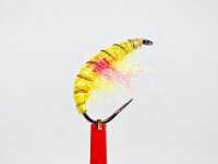 GAMMARUS