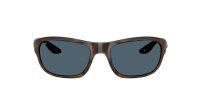 COSTA CLIPPERTON TORTOISE GRAY 580P
