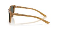 COSTA CATHERINE SUN RAY/GRAY 580G