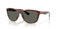 COSTA CORRIENTES TORTOISE/GRAY 580G