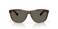 COSTA CORRIENTES TORTOISE/GRAY 580G