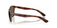 COSTA CORRIENTES TORTOISE/GRAY 580G
