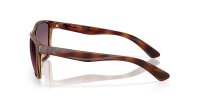 COSTA CORRIENTES TORTOISE/ROSE GRADIENT 580G