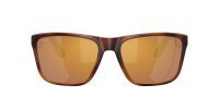 COSTA LOS ALIJOS TORTOISE/GOLD MIRROR 580G